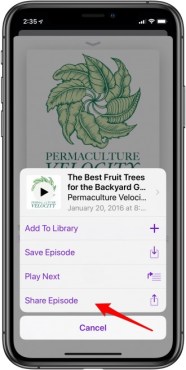 Bạn cũng có thể chia sẻ nội dung podcast hay trên iPhone và iPad.